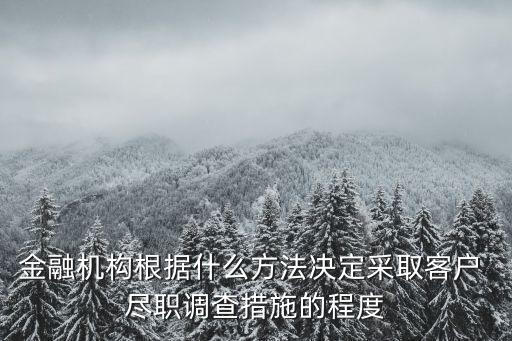 金融機構(gòu)根據(jù)什么方法決定采取客戶 盡職調(diào)查措施的程度