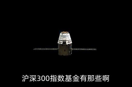 申萬大師系列價(jià)值投資篇