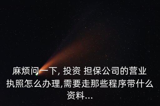 國(guó)億投資擔(dān)保有限公司,北京星辰粒子投資擔(dān)保有限公司