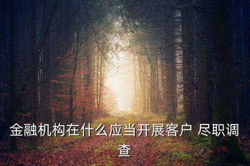 銀行融資盡職調(diào)查,銀行對個人盡職調(diào)查嚴重嗎