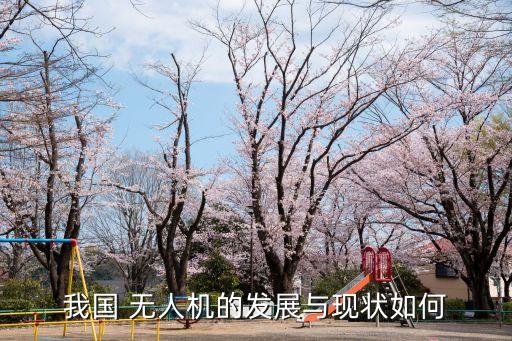 中國無人飛機市場,中國的無人飛機怎么樣
