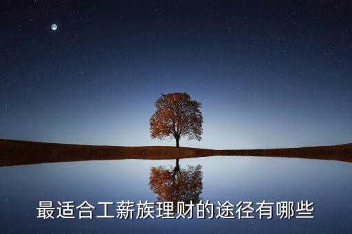 最適合工薪族理財?shù)耐緩接心男? class=
