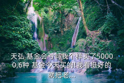寶盈基金股權(quán)價格