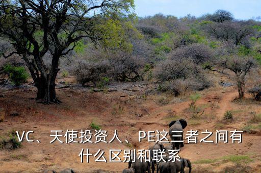 VC、天使投資人、PE這三者之間有什么區(qū)別和聯(lián)系
