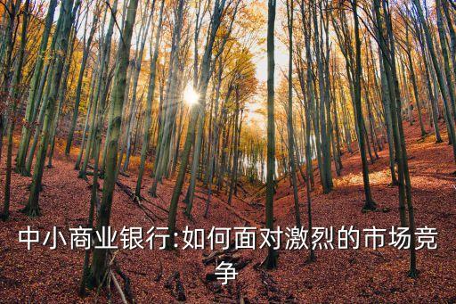 中小商業(yè)銀行:如何面對(duì)激烈的市場(chǎng)競(jìng)爭(zhēng)