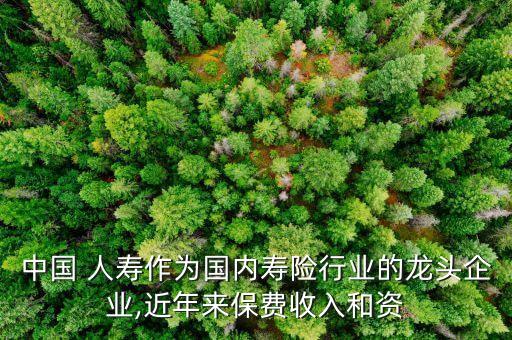 中國 人壽作為國內(nèi)壽險行業(yè)的龍頭企業(yè),近年來保費(fèi)收入和資