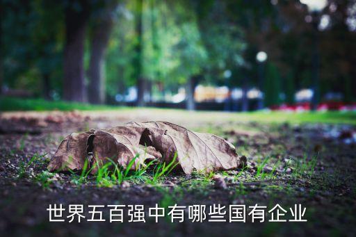 世界五百強(qiáng)中有哪些國有企業(yè)