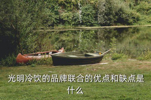  光明冷飲的品牌聯(lián)合的優(yōu)點和缺點是什么