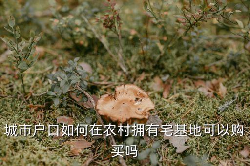 城市戶口如何在農(nóng)村擁有宅基地可以購買嗎