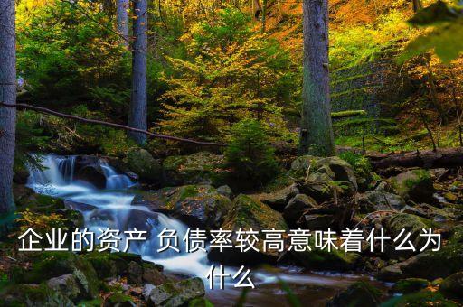 企業(yè)的資產(chǎn) 負(fù)債率較高意味著什么為什么