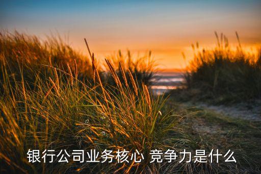  銀行公司業(yè)務核心 競爭力是什么