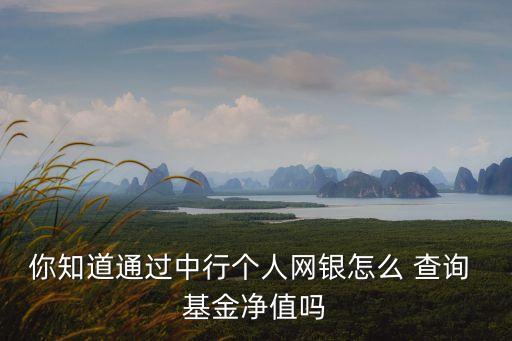 基金估值查詢(xún),005629基金估值查詢(xún)