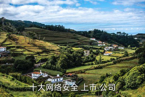 十大網(wǎng)絡安全 上市 公司