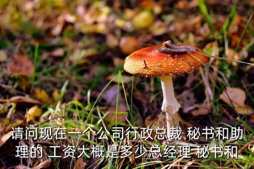 請問現(xiàn)在一個公司行政總裁 秘書和助理的 工資大概是多少總經(jīng)理 秘書和