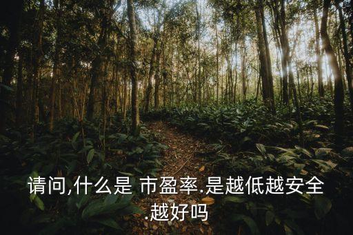 請(qǐng)問,什么是 市盈率.是越低越安全.越好嗎