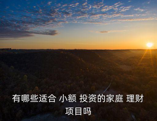 有哪些適合 小額 投資的家庭 理財項(xiàng)目嗎