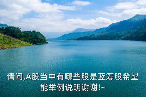 請問,A股當(dāng)中有哪些股是藍(lán)籌股希望能舉例說明謝謝!~