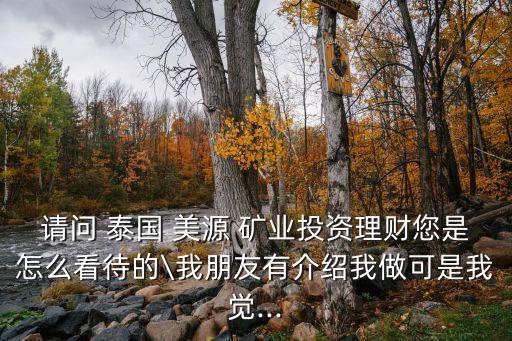 請問 泰國 美源 礦業(yè)投資理財(cái)您是怎么看待的\我朋友有介紹我做可是我覺...