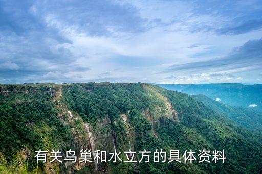 有關鳥巢和水立方的具體資料