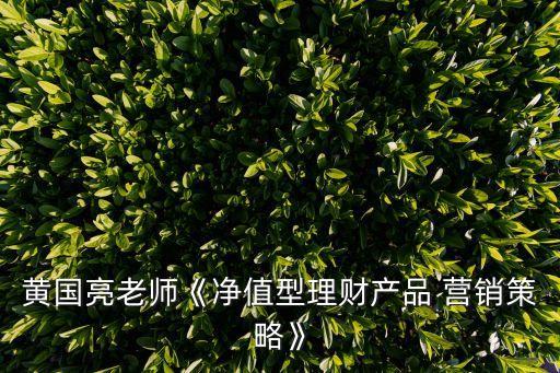 黃國(guó)亮老師《凈值型理財(cái)產(chǎn)品 營(yíng)銷策略》