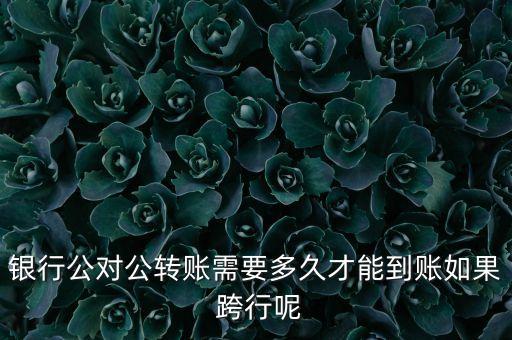 中國銀行跨行實(shí)時(shí)付款