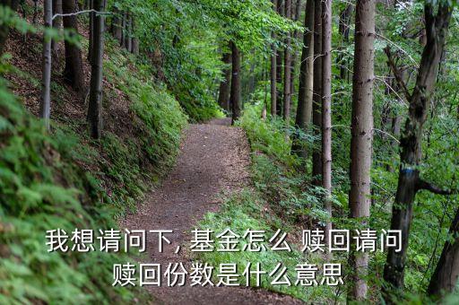 我想請(qǐng)問下, 基金怎么 贖回請(qǐng)問 贖回份數(shù)是什么意思