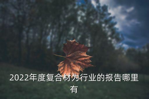 2022年度復(fù)合材為行業(yè)的報(bào)告哪里有