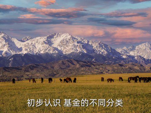 初步認(rèn)識(shí) 基金的不同分類(lèi)