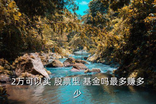 2萬(wàn)可以買 股票型 基金嗎最多賺多少