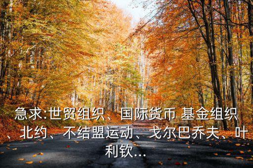 急求:世貿(mào)組織、國際貨幣 基金組織、北約、不結(jié)盟運(yùn)動、戈?duì)柊蛦谭?、葉利欽...