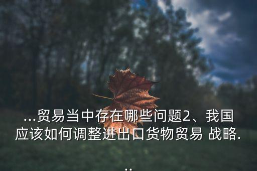 ...貿(mào)易當(dāng)中存在哪些問題2、我國應(yīng)該如何調(diào)整進(jìn)出口貨物貿(mào)易 戰(zhàn)略...
