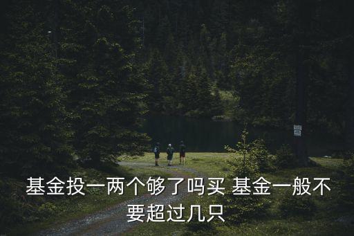  基金投一兩個夠了嗎買 基金一般不要超過幾只