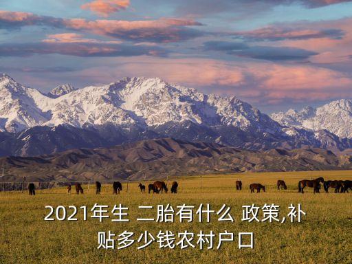 2021年生 二胎有什么 政策,補貼多少錢農(nóng)村戶口
