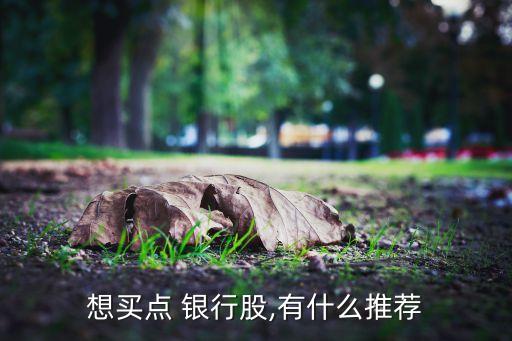 那只銀行股最具投資價值