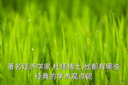 著名經(jīng)濟學家 杜猛博士,他都有哪些經(jīng)典的學術觀點呢