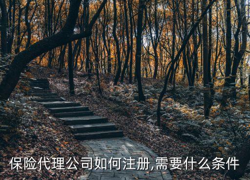 保險(xiǎn)代理公司如何注冊(cè),需要什么條件