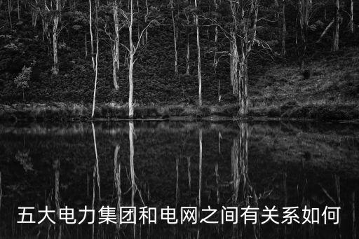 五大電力集團(tuán)和電網(wǎng)之間有關(guān)系如何