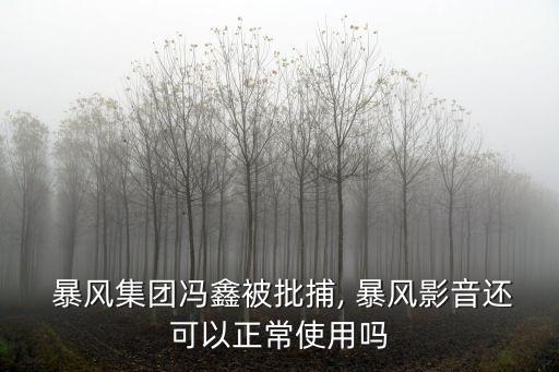  暴風(fēng)集團(tuán)馮鑫被批捕, 暴風(fēng)影音還可以正常使用嗎