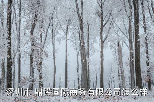 深圳市 鼎諾國際商務有限公司怎么樣