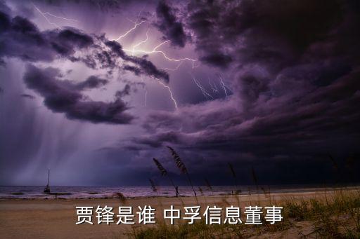 賈鋒是誰(shuí) 中孚信息董事