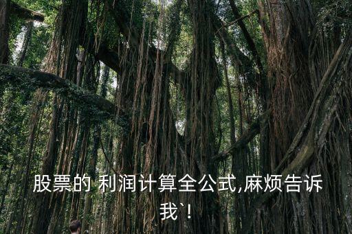  股票的 利潤(rùn)計(jì)算全公式,麻煩告訴我`!
