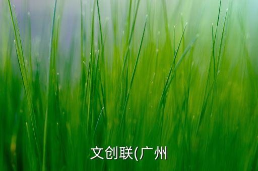 廣州市飛漫樂貿易有限公司