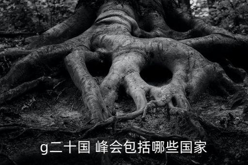 20國集團首腦峰會,中亞峰會來了幾國首腦