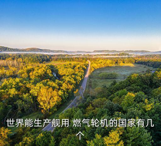 世界能生產(chǎn)艦用 燃?xì)廨啓C(jī)的國家有幾個