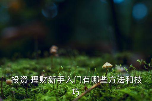  投資 理財(cái)新手入門有哪些方法和技巧