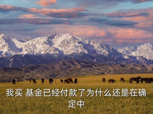 購買基金什么時候生效,當(dāng)天購買基金凈值按什么時候的