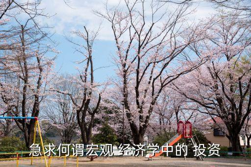急求何謂宏觀 經(jīng)濟學中的 投資