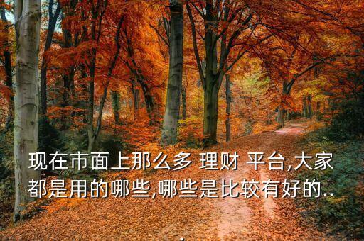 現(xiàn)在市面上那么多 理財(cái) 平臺(tái),大家都是用的哪些,哪些是比較有好的...