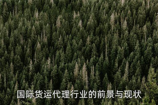 國(guó)際貨運(yùn)代理行業(yè)的前景與現(xiàn)狀
