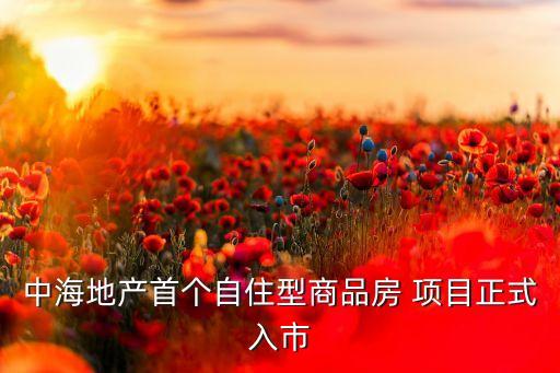 2017年北京自住房項(xiàng)目,北京商住房2017年新政